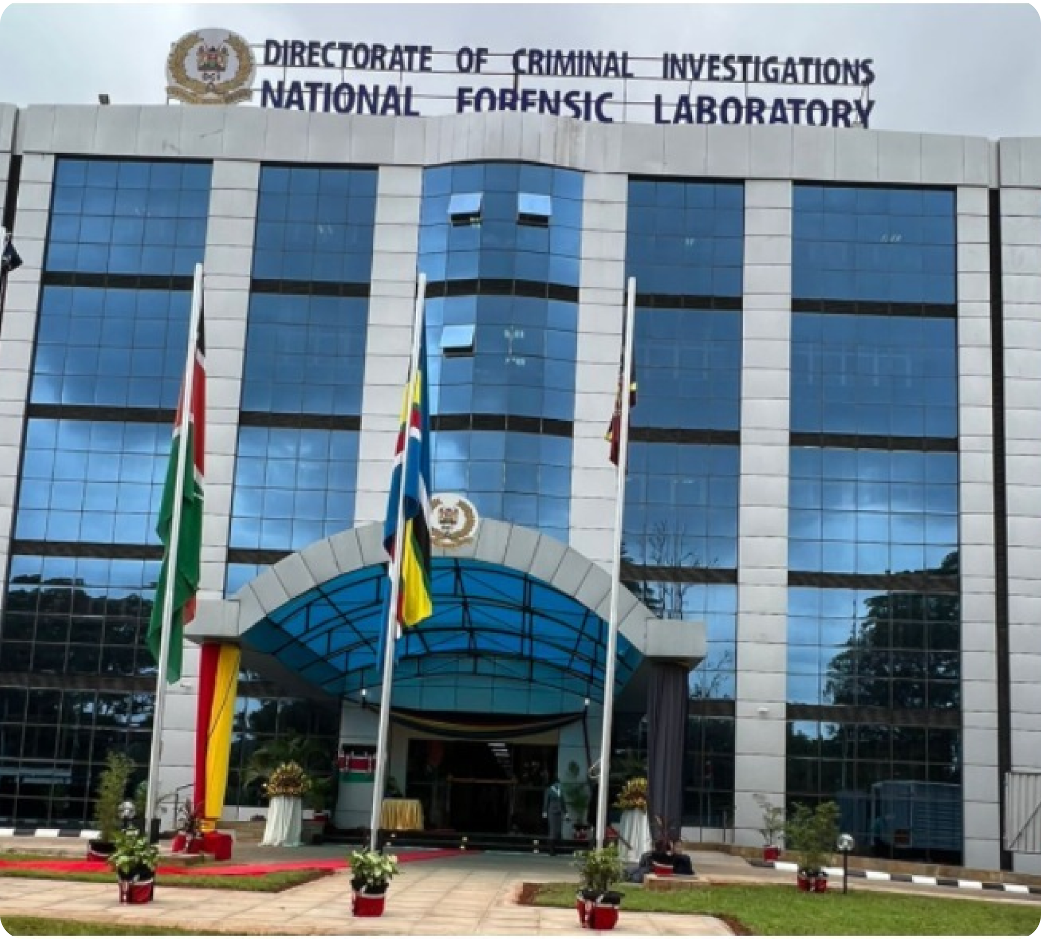 Directorate of Criminal Investigations